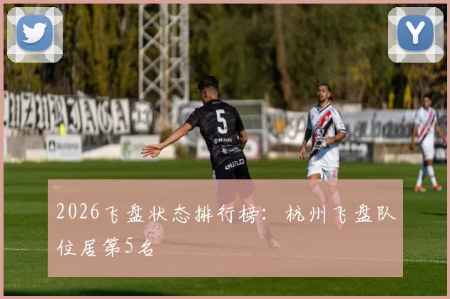 2026飞盘状态排行榜：杭州飞盘队位居第5名