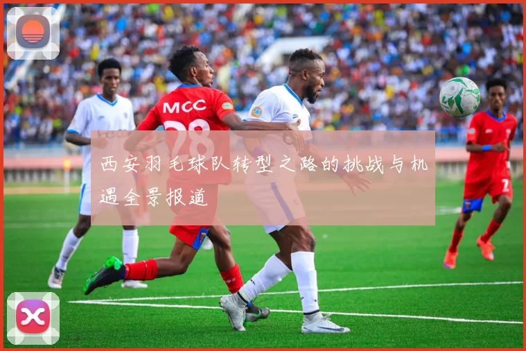 西安羽毛球队转型之路的挑战与机遇全景报道