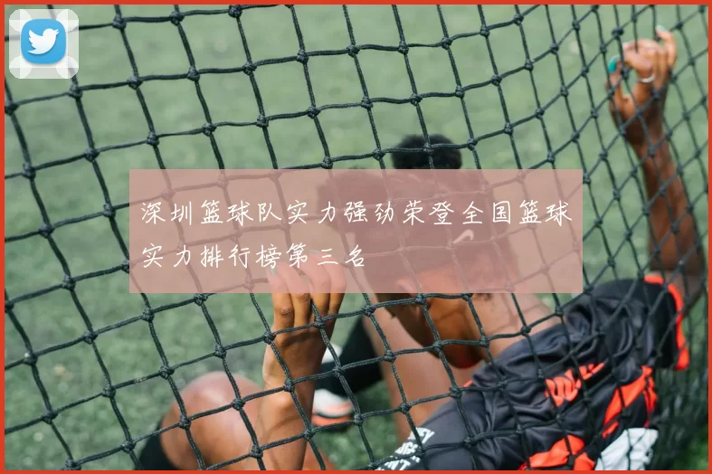 深圳篮球队实力强劲荣登全国篮球实力排行榜第三名