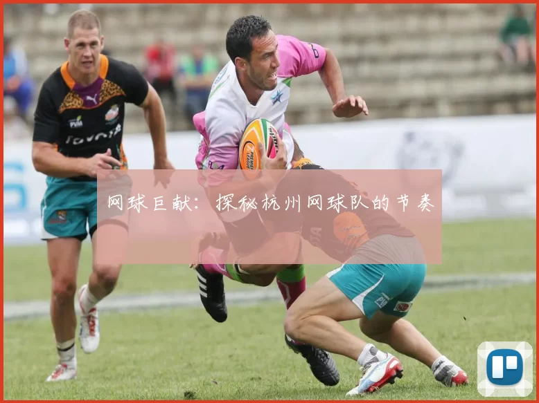 网球巨献：探秘杭州网球队的节奏