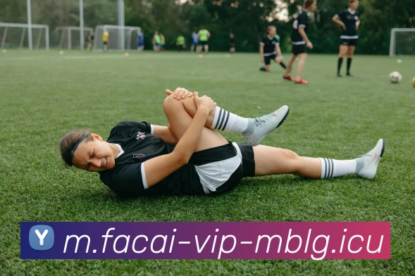 乐竞体育APP 高清赛事图